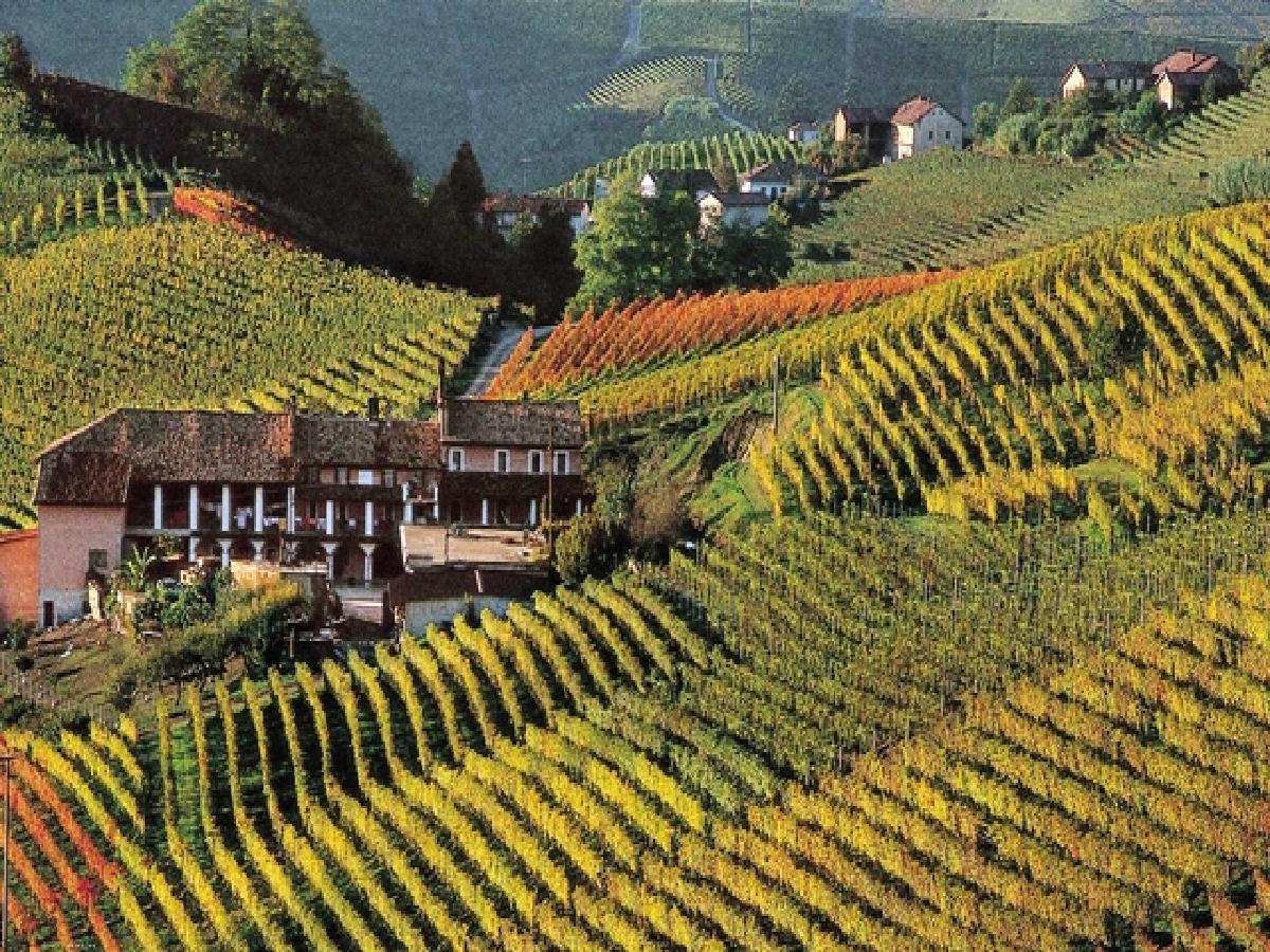 Region Piemonte The Winery Project